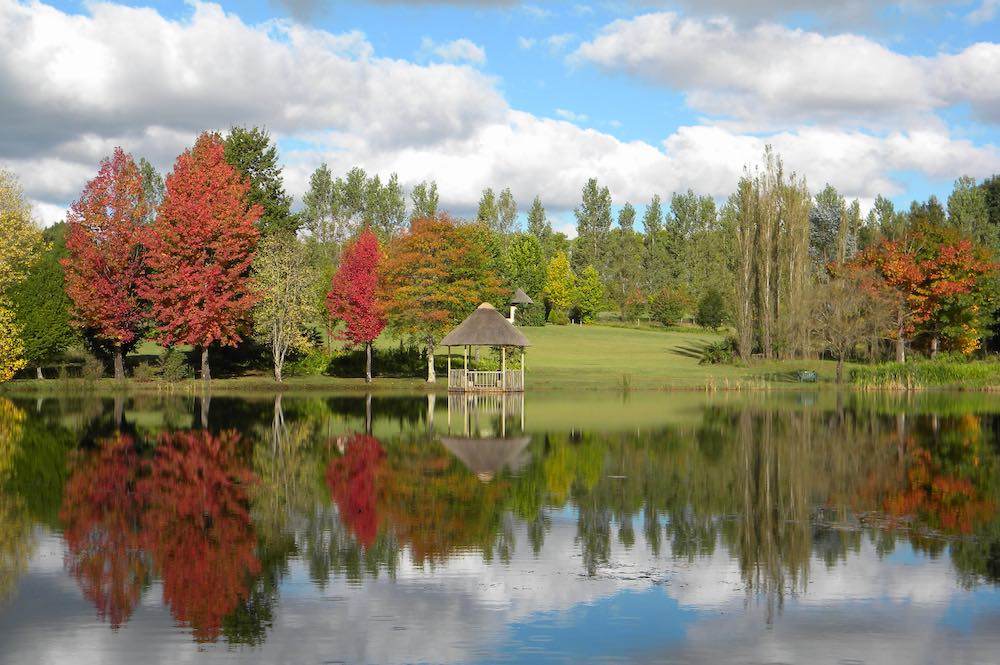 Sani-Window-Accommodation-in-Underberg.jpg