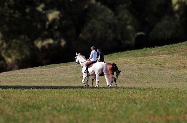Sani-Window-Horse-Riding.jpeg